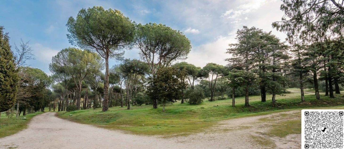 Apartamento Las Rozas Centro Con Parking Incluido Buitenkant foto